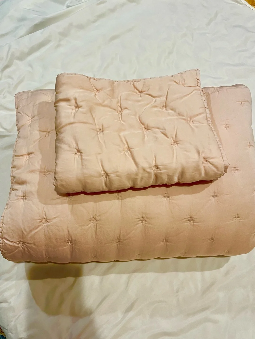 Pottery Barn Teen Soft Rose Amelia Tencel Twin Quilt & Standard Sham